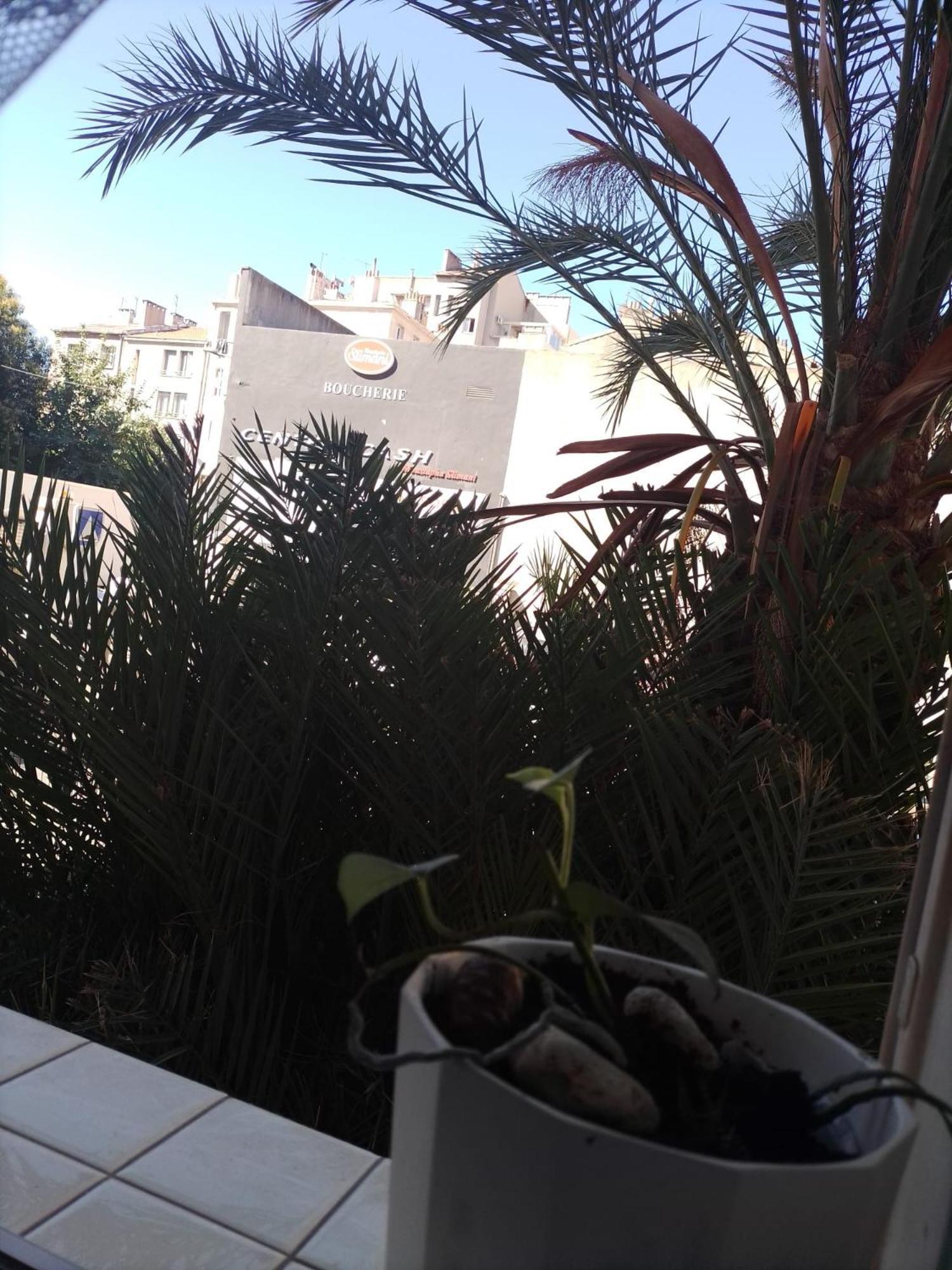 Chambre Stella Marseilles Exterior foto